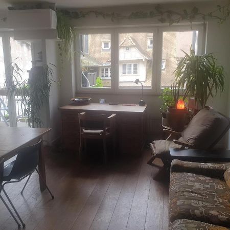 Appartamento La puisatière 80 m2 Strasburgo Esterno foto