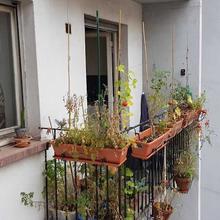 Appartamento La puisatière 80 m2 Strasburgo Esterno foto