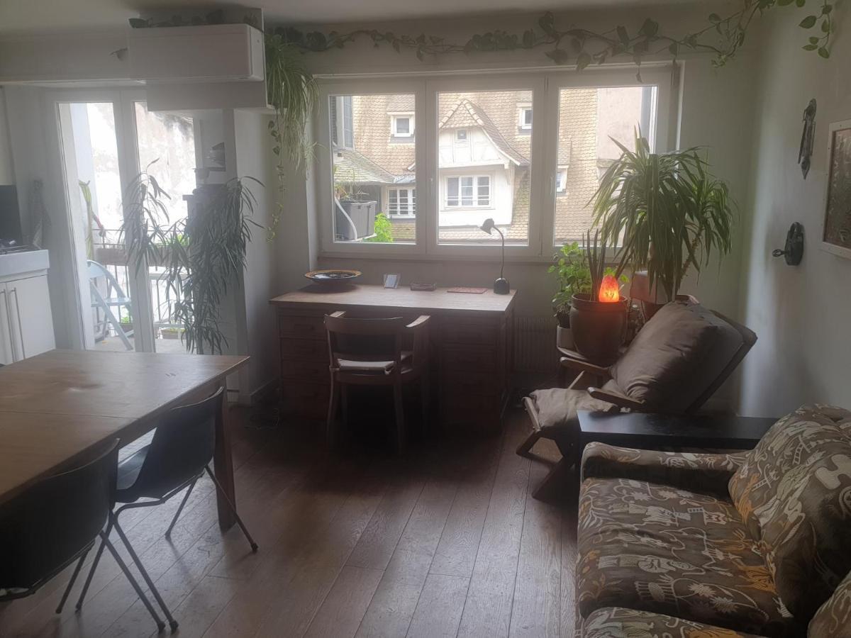 Appartamento La puisatière 80 m2 Strasburgo Esterno foto