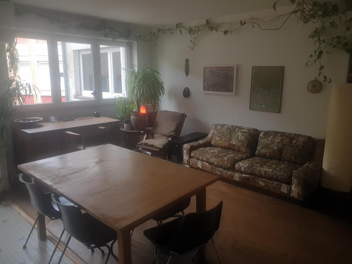 Appartamento La puisatière 80 m2 Strasburgo Esterno foto