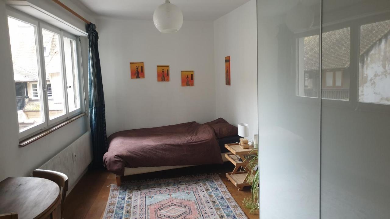 Appartamento La puisatière 80 m2 Strasburgo Esterno foto