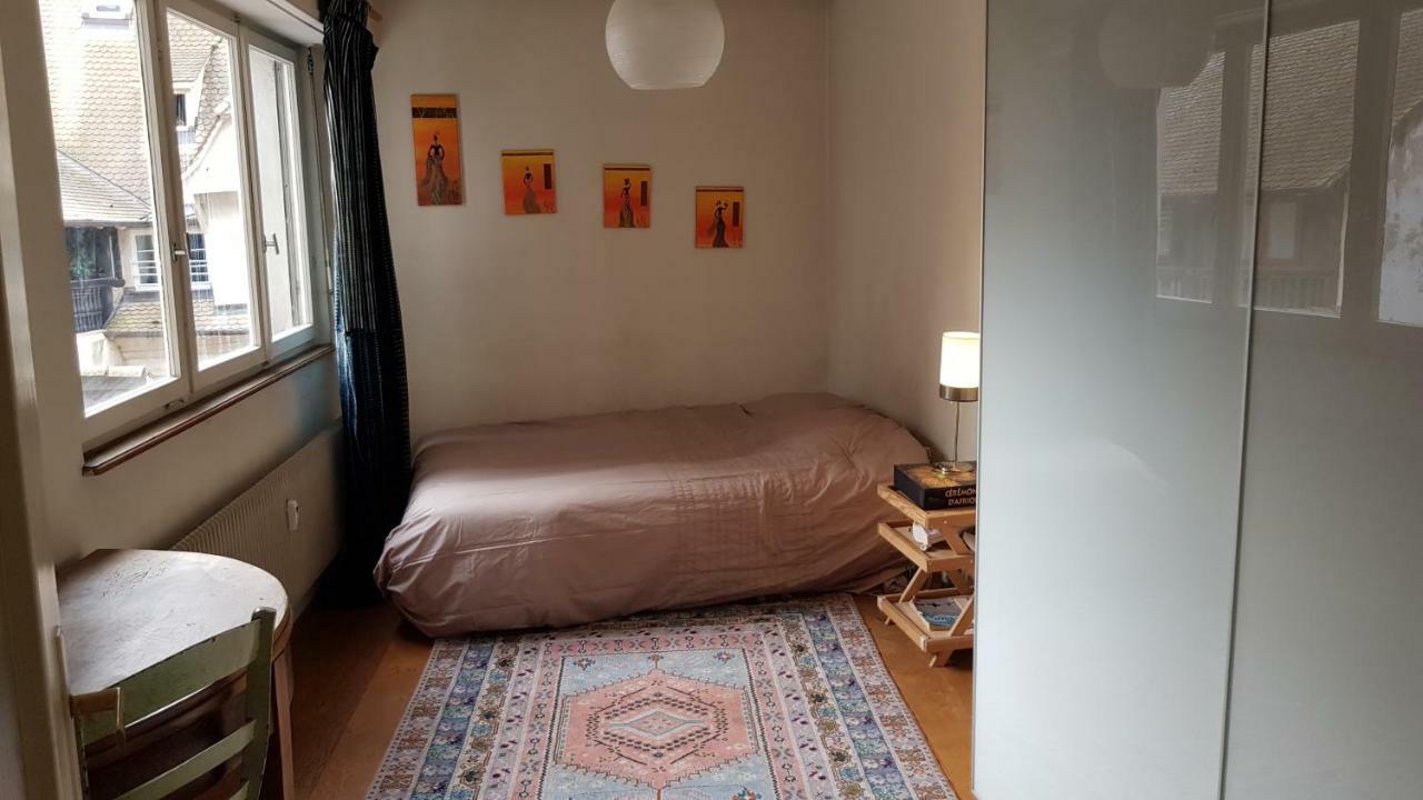 Appartamento La puisatière 80 m2 Strasburgo Esterno foto