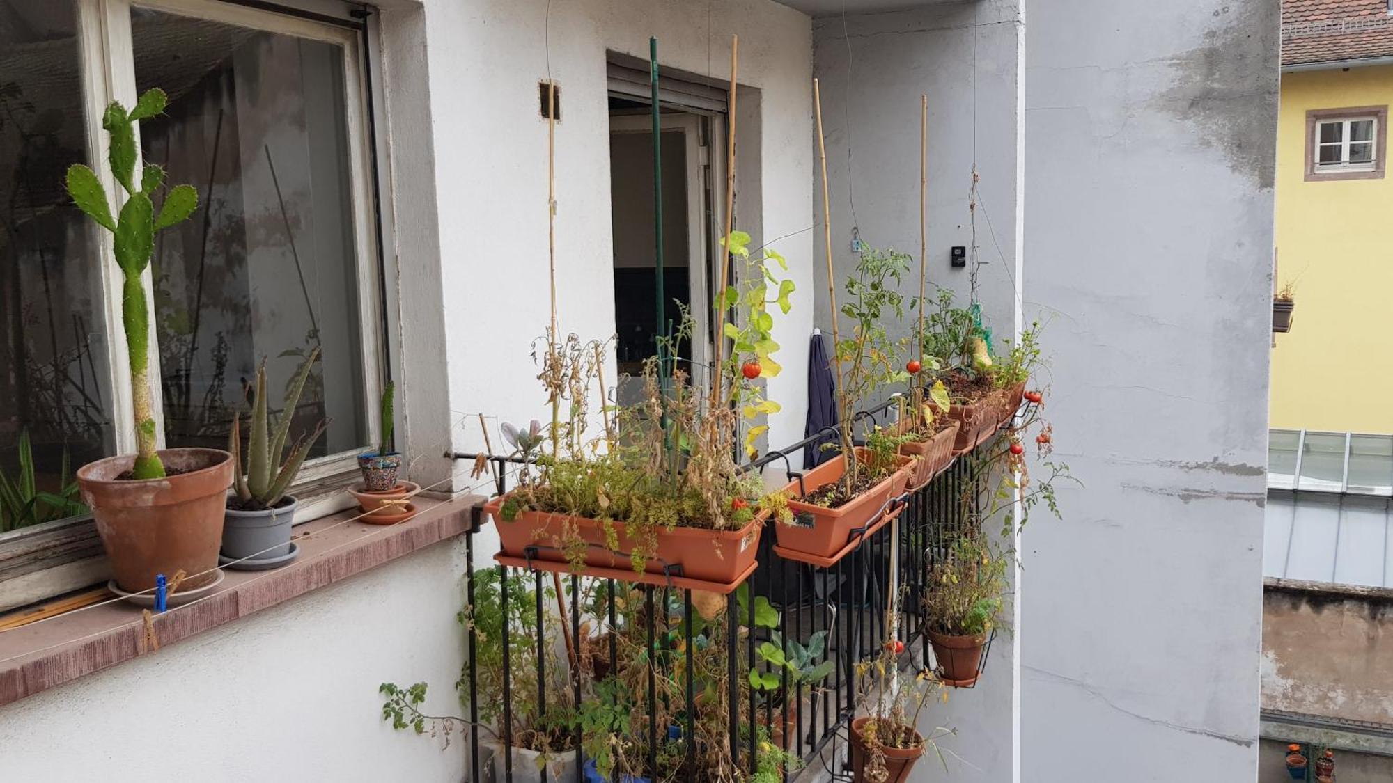 Appartamento La puisatière 80 m2 Strasburgo Esterno foto